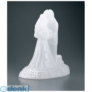 y12/5IIōő100|CgobNzNAI07 vX`bNACXh EFfBO SBG|1 77838004586 CARLISLE J[C J[Ct[hT[rXv_Nc X TKG