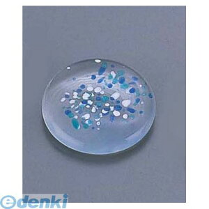 RHSP101 KXی^u  MG|SRB 4560342476278 RɎq GYWp KXی^u KXی^u