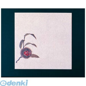 QGL05 O~5 100 I 4988484647521 }R[ YAMACO N[v򏑘a