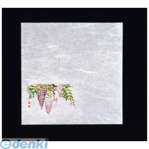 QHU12 VEG򏑎 100  4988484653935 }R[ YAMACO u_a ۑN