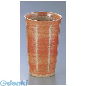 RKP7201 \Jbv  D03|25  4560342473222 GYWp TKG 