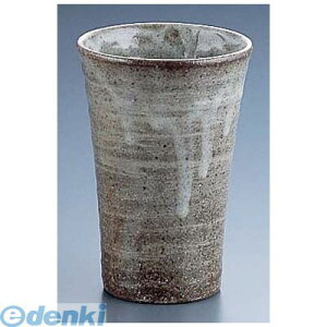 y12/5IIōő100|CgobNzRMJ2201 Dу`[nCJbv H|035 4562216281063 GYWp TKG 