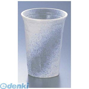 RKP6001 Jbv D02|13 4560342470351 GYWp TKG 