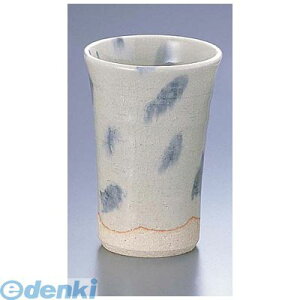 RKP7701 t[Jbv D06|20 4560342475622 GYWp TKG 