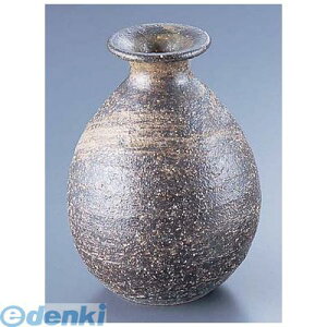 (LINE�N�[�|���L)RMJ0401 ���`���� H�|025 4562216281056 �G���Y�W���p�� TKG