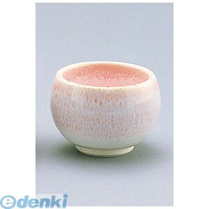 y11/10IIōő100|CgobNzRGI5101  D03|48 4560342473451 GYWp TKG