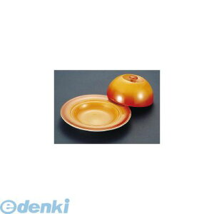 RMH02024 VF[oh }tBfBbV  Wt 0298|24B 4905001609268 VF[oh}tBfBbV TKG SCHONWALD mH