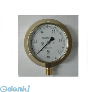 �y���F1�z���v�� BMT3/8-100:1MPA HNT�ėp���͌v ���C�p�EM BMT3/8100:1MPA