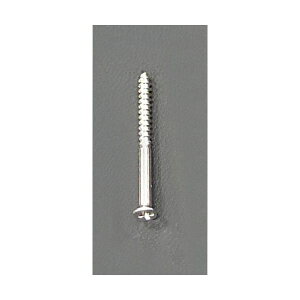 y[݌ɕizuvGXR EA949FC-219 2D0x19mm ؍Hpɍ׃rX 700{ EA949FC219