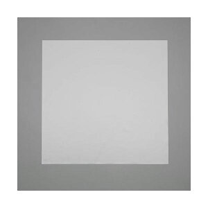 【即納在庫品】「直送」エスコ EA997WB-12 500x 500x1.0mm シリコンゴム板 EA997WB12