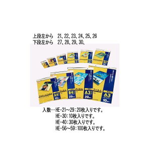 y[݌ɕizuvGXR EA761HE-21 hTCY ~l[gtB 20 EA761HE21yLZsz