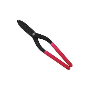 4977292180207  vg 4977292180207 g Y vg g ZL`