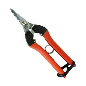 4976365202075 T{e ՌzE p NoDAG|7L Eʂ͂ ՌzE[p ՌzEʂ͂