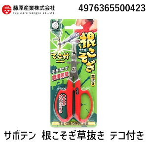 y[݌ɕiz365500423 T{e  eRt NoD5-B 炩\tgnh bh |pi |  T{eĂt  ނ  | ƒ