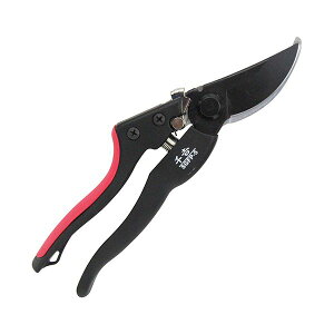 4977292628204 g GF WObv SGFP|5 GF[WObv Y ChObv OXt@Co[