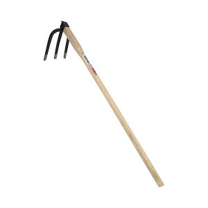 4977292666053 g |L 1050MM y_H |pi N g|L y yN Y