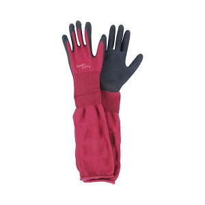 4977292666190 ZteB|3 Snɂ REL|M O Y OM |pi | |