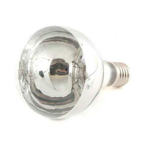 4984339600543 V ֋ 110V 300W ^CJc ⏟Y t tN^[ ƍH փv Vt tv