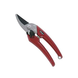 y12/5IIōő100|CgobNzT{e EX-6 fB[X EX6