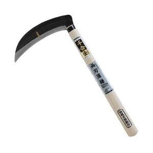 4977292601733 ^ 4977292601733 g g Y J} | |pi pi 芙  |t Аn 