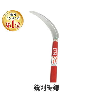 4977292602761 s 4977292602761 g `E Y  YƉs SENKICHI XeXn ԃObv |  G 抙  |pi _