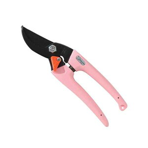 y12/5IIōő100|CgobNzT{e sN fB[X