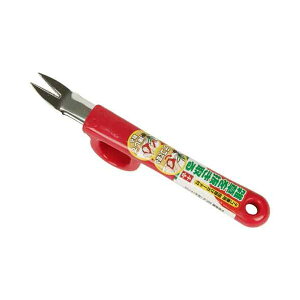 4977292624831 eRtG g Y SENKICHI | |pi 抙  G  _