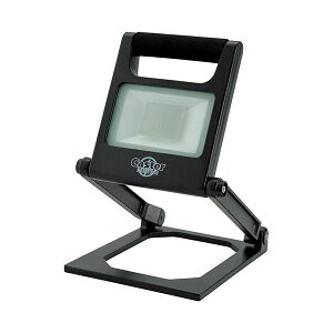 4560150941104 Caster [dLEDX^hCg CLP|800LRB|A LX^[CeBOWp  ƍH