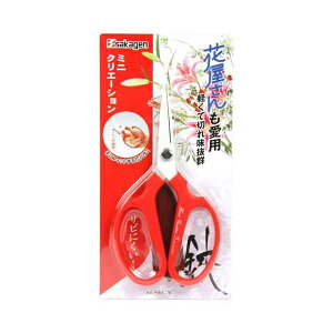 4900686003813 ⌹ ~jNG[VF bh ͂ K[fjO nP[Xt TJQ ~͓