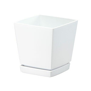 y12/5IIōő100|CgobNz4903266721589 }g NG`[|bg Mt4 0D6L zCg avX`bN av YAMATO v