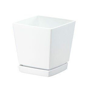 y12/5IIōő100|CgobNz4903266721695 }g NG`[|bg Mt6 1D4L zCg avX`bN av YAMATO v avX`bNNG`[|bgv