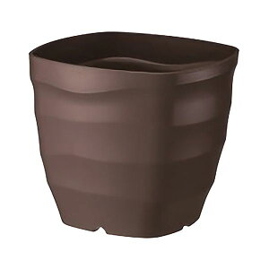 4903266726751 }g tO[XNGA|bg 24K^ DBR _[NuE avX`bN av |pi pi v t[v^[