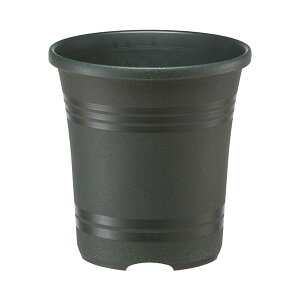 4903266728076 }g [YK[f|bg 24K^ DG _[NO[ avX`bN opAؔ |pi v pi