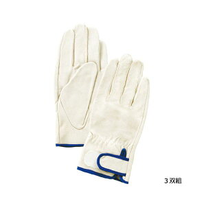 4952558594806 pbN ؔAe 3og3|232 L xmO[u EX Ǝ v