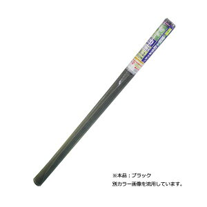 4960256200783 _CI NElbg 24bV 91CMX2D3MubN _CINElbg Ԍ˗ph DIO