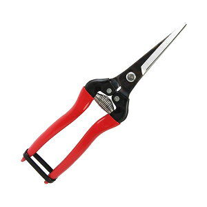 (LINE�N�[�|���L)4965280658135 �A���X �E�����G�N�X�g�������O�^�C�v 300LL�|BP �A���X�R�[�|���[�V���� ARS �E�ʃG�N�X�g�������O