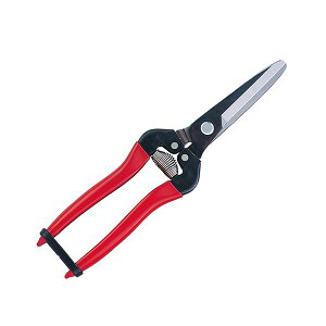 (LINE�N�[�|���L)4965280658166 �A���X �؉��� 300LW�|BP �ЍL �A���X�R�[�|���[�V���� ARS �؉������L�n