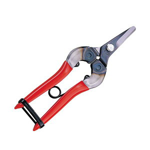 y11/25IIōő100|CgobNz4965280660008 AX ̉  310 ARS AXR[|[V ̉ Ȑn ARS̉ |nT~ |pi