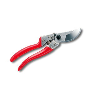 4965280679239 AX  VS9 VS|9Z uCGXiC AXR[|[V AXuCGXiC ARS  LTCY