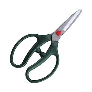 4965280992048 AX GNVbN K[fjO GC|FL|18 to ARS AXR[|[V |pi