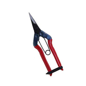 (LINE�N�[�|���L)���� ����s�E�����[�J�[�����s�� 4967645042702 �`�J�}�T �E���� T�|501�y�L�����Z���s�z