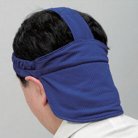 楽天市場 クールビットビルダーの通販