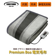 【即納在庫品】椙山紡織 SSW20SL09(AS) 電気敷毛布ロング 【安心の1年間保証】