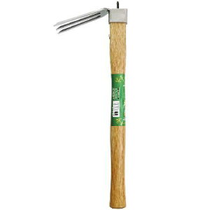 4969968302259 ܘY XeXЎL O{L