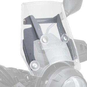 (LINE�N�[�|���L)�f�C�g�i DAYTONA 16803 �f�C�g�i �o�C�N�p �X�N���[���}�E���g�o�[�z���_�[ �X�N���[���I�t�Z�b�g�u���P�b�g �L���b�v�{���g�J���[M8 �A�b�V���V���o�[ V�|Strom250 17�H19