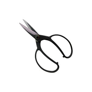 gn쏊 2025 @ A؉  lW NoD 2025 75mm