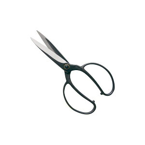 y11/25IIōő100|CgobNzgn쏊 4939133412045 @ A؉  lW NoD204 120mm