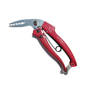 y11/25IIōő100|CgobNzgn쏊 606 Ђ[ NoD505