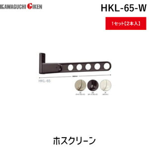 Z HKL-65-W y2zzXN[ HKL65W zCg Ǘp Ox[X^Cv  ǗpzXN[ X^_[h^Cv