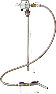 ylzszyF1zANAVXe ANA APD20AS  sE[J[s GAvbV[|v hʓfop GAh|v